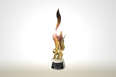 HR Excellence Award 2013