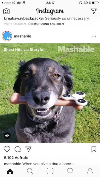 Fidget Spinner Dog